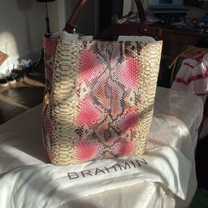 Brahmin Celina